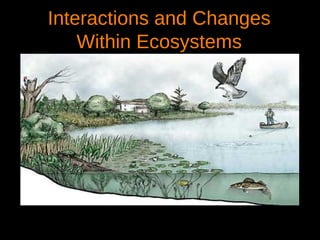 Interactions and Changes
    Within Ecosystems
 