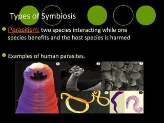 Types of Symbiosis
Parasitism: two species interacting while one
 species benefits and the host species is harmed

Examples of human parasites.
 