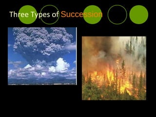 Three Types of Succession
 