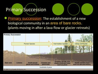 Primary Succession
Primary succession: The establishment of a new
 biological community in an area of bare rocks.
 (plants moving in after a lava flow or glacier retreats)
 