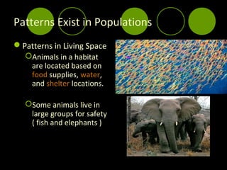 Patterns Exist in Populations
Patterns in Living Space
   Animals in a habitat
    are located based on
    food supplies, water,
    and shelter locations.

   Some animals live in
    large groups for safety
    ( fish and elephants )
 