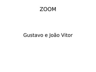 ZOOM
Gustavo e João Vitor
 