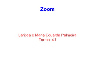 Zoom
Larissa e Maria Eduarda Palmeira
Turma: 41
 