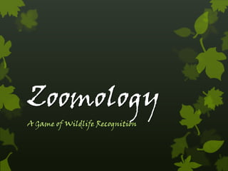 Zoomology
A Game of Wildlife Recognition
 