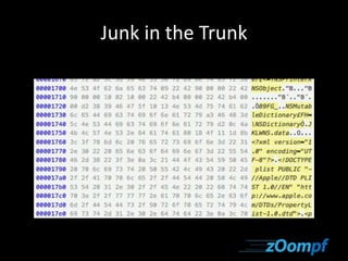 Junk in the Trunk 
 