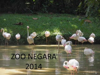 ZOO NEGARAZOO NEGARA
2014
 