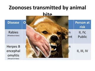 Zoonoses transmitted by animal
bite
Disease Organism Animal Host Person at
risk
Rabies
(Rhabdoviridae)
Rabies
virus
Dogs, fox,
bats,
cattles
Human
(Accident
al)
II, IV,
Public
Herpes B
encephal
omylitis
(Herpesviridae)
Herpes
simiae
Monkey Human
(rare) II, III, IV
 