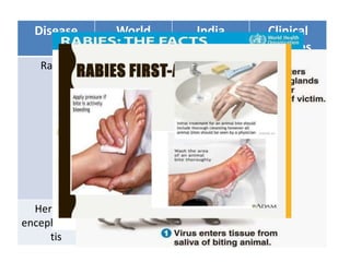 Disease World
distribution
India
disribution
Clinical
features
Rabies Worlswide,
rural areas of
Africa and
Asia, (Except
Australia, New
Zealand, UK,
Ireland,
Scandinavia,
Japan and
Taiwan
Except
andaman and
Nicobar
Islands,
Lakshadweep
headache,
malaise, sore
throat and
mild fever,
pain and
tingling,
Aerophobia,
Hydrophobia
Herpes B
encephalomyli
tis
---- ----
Acute
ascending
myelitis
 