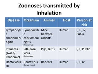 Zoonoses transmitted by
Inhalation
Disease Organism Animal Host Person at
risk
Lymphocyti
c
choriomeni
ngitis
Lymphocyti
c
choriomeni
ngitis
(Arenavirus)
Mice,
hamster,
rodents
Human I, III, IV,
Public
Influenza
(Avian/
Pandemic)
Influenza
virus
(Orthomyxo)
Pigs, Birds Human I, II, Public
Hanta virus
HF
Hantavirus
(Bunyaviridae)
Rodents Human I, II, IV
 