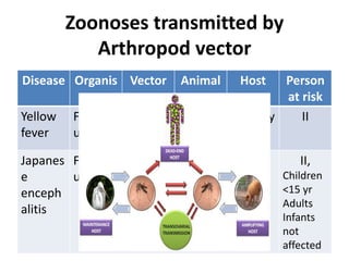 Zoonoses transmitted by
Arthropod vector
Disease Organis
m
Vector Animal Host Person
at risk
Yellow
fever
Flavivir
us
Mosqui
to (Aedes
aegypti)
Primate
s
Monkey
Human
II
Japanes
e
enceph
alitis
Flavivir
us
Mosqui
to
( Culex
tritaeniorhynch
us)
Pigs Animal
Birds
Human
(dead
end)
II,
Children
<15 yr
Adults
Infants
not
affected
 