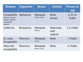 Disease Organism Vector Animal Person at
risk
Encephalitis
(Eastern equine,
western equine,
venezuelan
equine)
Alphavirus Mosquito
(Aades, culex)
Birds,
horses
II, III, IV,
Public
California Bunyavirus Mosquito
(Aades)
Mammals,
wild
rodents
I, II, Public
St. Louis
Encephalitis
Flavivirus Mosquito
(Culex)
Birds I, Public
West nile
encephalitis
Flavivirus Mosquito
(Aades, culex)
Birds II, Public
 