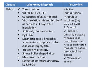 Disease Laboratory Diagnosis Prevention
Rabies  Tissue culture :
 WI 38, BHK 21, CER
 Cytopathic effect is minimal
 Virus isolation is identified by IF
as early as 2-4 days after
inoculation.
4. Antibody demonstration :
 By ELISA
 Diagnostic role is limited in
antemortem diagnosis as the
disease is largely fatal.
5. Electron Microscopy :
 Shows bullet shaped virus
6. Molecular method :
 Detection of rabies virus RNA
by RT-PCR
 Active
immunization :
-Antirabies
vaccines (Day
0,3,7,14 & 28)
2. Control :
 Rabies is
primarily a disease
of animals and
control measures
have to be directed
towards the natural
reservoir of the
disease
 Vaccines for
animals
 