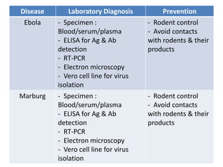Disease Laboratory Diagnosis Prevention
Ebola - Specimen :
Blood/serum/plasma
- ELISA for Ag & Ab
detection
- RT-PCR
- Electron microscopy
- Vero cell line for virus
isolation
- Rodent control
- Avoid contacts
with rodents & their
products
Marburg - Specimen :
Blood/serum/plasma
- ELISA for Ag & Ab
detection
- RT-PCR
- Electron microscopy
- Vero cell line for virus
isolation
- Rodent control
- Avoid contacts
with rodents & their
products
 