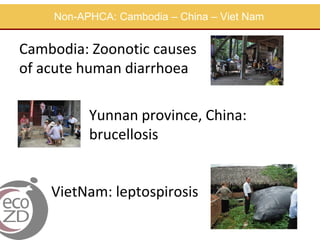 Zoonoses and food safety related activities in APHCA member states | PDF