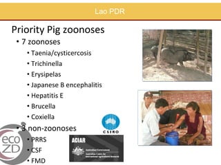 Zoonoses and food safety related activities in APHCA member states