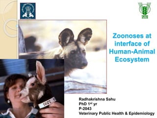 Zoonoses at
interface of
Human-Animal
Ecosystem
Radhakrishna Sahu
PhD 1st yr
P-2043
Veterinary Public Health & Epidemiology
 