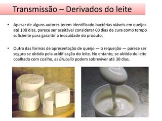 Transmissão – Derivados do leite 
• Apesar de alguns autores terem identificado bactérias viáveis em queijos 
até 100 dias, parece ser aceitável considerar 60 dias de cura como tempo 
suficiente para garantir a inocuidade do produto. 
• Outra das formas de apresentação de queijo — o requeijão — parece ser 
seguro se obtido pela acidificação do leite. No entanto, se obtido do leite 
coalhado com coalho, as Brucella podem sobreviver até 30 dias. 
 