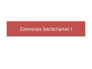 Zoonoses bacterianas I 
 