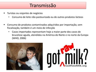 Transmissão 
 Turistas ou viajantes de negócios 
• Consumo de leite não pasteurizado ou de outros produtos lácteos 
 Consumo de produtos contaminados adquiridos por importação, sem 
fiscalização, também é um meio de infecção 
• Casos importados representam hoje a maior parte dos casos de 
brucelose aguda, atendidos na América do Norte e no norte da Europa 
(WHO, 2006) 
 