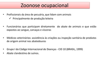 Zoonose ocupacional 
• Profissionais da área de pecuária, que lidam com animais 
 Principalmente de produção leiteira 
• Funcionários que participam diretamente do abate de animais e que estão 
expostos ao sangue, carcaças e vísceras 
• Médicos veterinários: assistência às criações ou inspeção sanitária de produtos 
de origem animal nos abatedouros 
• Grupo I do Código Internacional de Doenças - CID 10 (BRASIL, 1999) 
• Abate clandestino de suínos. 
 