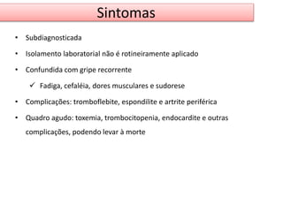 Sintomas 
• Subdiagnosticada 
• Isolamento laboratorial não é rotineiramente aplicado 
• Confundida com gripe recorrente 
 Fadiga, cefaléia, dores musculares e sudorese 
• Complicações: tromboflebite, espondilite e artrite periférica 
• Quadro agudo: toxemia, trombocitopenia, endocardite e outras 
complicações, podendo levar à morte 
 