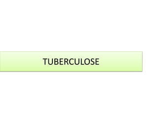 TUBERCULOSE 
 