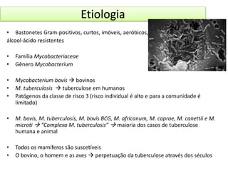 Etiologia 
• Bastonetes Gram-positivos, curtos, imóveis, aeróbicos, 
álcool-ácido resistentes 
• Família Mycobacteriaceae 
• Gênero Mycobacterium 
• Mycobacterium bovis  bovinos 
• M. tuberculosis  tuberculose em humanos 
• Patógenos da classe de risco 3 (risco individual é alto e para a comunidade é 
limitado) 
• M. bovis, M. tuberculosis, M. bovis BCG, M. africanum, M. caprae, M. canettii e M. 
microti  “Complexo M. tuberculosis”  maioria dos casos de tuberculose 
humana e animal 
• Todos os mamíferos são suscetíveis 
• O bovino, o homem e as aves  perpetuação da tuberculose através dos séculos 
 