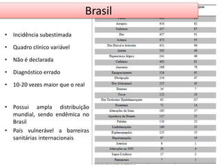 Brasil 
• Incidência subestimada 
• Quadro clínico variável 
• Não é declarada 
• Diagnóstico errado 
• 10-20 vezes maior que o real 
• Possui ampla distribuição 
mundial, sendo endêmica no 
Brasil 
• País vulnerável a barreiras 
sanitárias internacionais 
 