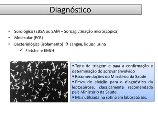 Diagnóstico 
• Sorológico (ELISA ou SAM – Soroaglutinação microscópica) 
• Molecular (PCR) 
• Bacteriológico (isolamento)  sangue, liquor, urina 
 Fletcher e EMJH 
 Teste de triagem e para a confirmação e 
determinação do sorovar envolvido 
 Recomendações do Ministério da Saúde 
 Prova de eleição para o diagnóstico da 
leptospirose, classicamente recomendada 
pelo Ministério da Saúde 
 Mais utilizada na rotina em laboratórios. 
 
