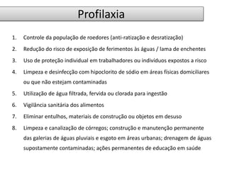 Profilaxia 
1. Controle da população de roedores (anti-ratização e desratização) 
2. Redução do risco de exposição de ferimentos às águas / lama de enchentes 
3. Uso de proteção individual em trabalhadores ou indivíduos expostos a risco 
4. Limpeza e desinfecção com hipoclorito de sódio em áreas físicas domiciliares 
ou que não estejam contaminadas 
5. Utilização de água filtrada, fervida ou clorada para ingestão 
6. Vigilância sanitária dos alimentos 
7. Eliminar entulhos, materiais de construção ou objetos em desuso 
8. Limpeza e canalização de córregos; construção e manutenção permanente 
das galerias de águas pluviais e esgoto em áreas urbanas; drenagem de águas 
supostamente contaminadas; ações permanentes de educação em saúde 
 
