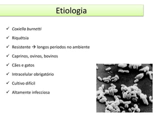 Etiologia 
 Coxiella burnetti 
 Riquétsia 
 Resistente  longos períodos no ambiente 
 Caprinos, ovinos, bovinos 
 Cães e gatos 
 Intracelular obrigatório 
 Cultivo difícil 
 Altamente infecciosa 
 