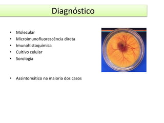 Diagnóstico 
• Molecular 
• Microimunofluorescência direta 
• Imunohistoquìmica 
• Cultivo celular 
• Sorologia 
• Assintomático na maioria dos casos 
 