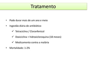 Tratamento 
• Pode durar mais de um ano e meio 
• Ingestão diária de antibiótico 
 Tetraciclina / Cloranfenicol 
 Doxiciclina + hidroxicloroquina (18 meses) 
 Medicamento contra a malária 
• Mortalidade: 1-2% 
 