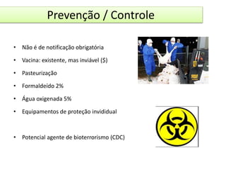 Prevenção / Controle 
• Não é de notificação obrigatória 
• Vacina: existente, mas inviável ($) 
• Pasteurização 
• Formaldeído 2% 
• Água oxigenada 5% 
• Equipamentos de proteção invididual 
• Potencial agente de bioterrorismo (CDC) 
 