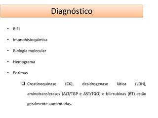 Diagnóstico 
• RIFI 
• Imunohistoquímica 
• Biologia molecular 
• Hemograma 
• Enzimas 
 Creatinoquinase (CK), desidrogenase lática (LDH), 
aminotransferases (ALT/TGP e AST/TGO) e bilirrubinas (BT) estão 
geralmente aumentadas. 
 