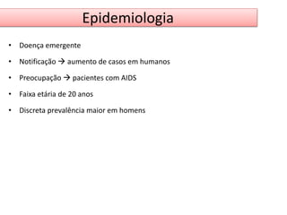 Epidemiologia 
• Doença emergente 
• Notificação  aumento de casos em humanos 
• Preocupação  pacientes com AIDS 
• Faixa etária de 20 anos 
• Discreta prevalência maior em homens 
 