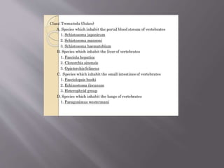 Zoonoses caused by trematodes and cestodes presentation | PPTX