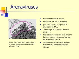 zoonoses and its classification on basis of types | PDF