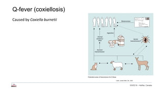Longitudinal study of small ruminant zoonoses in Tana River, Kenya