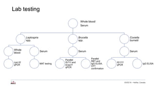 Longitudinal study of small ruminant zoonoses in Tana River, Kenya