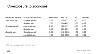 Longitudinal study of small ruminant zoonoses in Tana River, Kenya