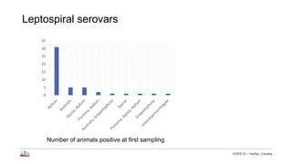 Longitudinal study of small ruminant zoonoses in Tana River, Kenya