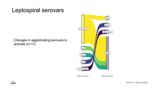 Longitudinal study of small ruminant zoonoses in Tana River, Kenya