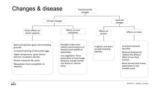 Longitudinal study of small ruminant zoonoses in Tana River, Kenya