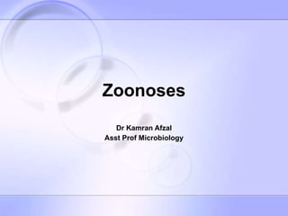Zoonoses Dr Kamran Afzal Asst Prof Microbiology 