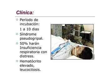 Clínica: Período de incubación: 1 a 10 dias Síndrome pseudogripal. 50% harán Insuficiencia respiratoria con distress. Hematócrito elevado, leucocitosis.  