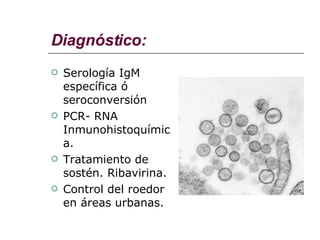 Diagnóstico: Serología IgM específica ó seroconversión PCR- RNA  Inmunohistoquímica. Tratamiento de sostén. Ribavirina. Control del roedor en áreas urbanas. 