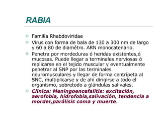 RABIA Familia Rhabdoviridae Virus con forma de bala de 130 a 300 nm de largo y 60 a 80 de diamétro. ARN monocatenario. Penetra por mordeduras ó heridas existentes,ó mucosas. Puede llegar a terminales nerviosas ó replicarse en el tejido muscular y eventualmente penetrar al SNP por las terminales neuromusculares y llegar de forma centrípeta al SNC, multiplicarse y de ahí dirigirse a todo el organismo, sobretodo a glándulas salivales. Clínica: Meningoencefalitis: excitación, aerofobia, hidrofobia,salivación, tendencia a morder,parálisis coma y muerte . 