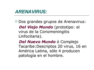 ARENAVIRUS: Dos grandes grupos de Arenavirus: Del Viejo Mundo  (prototipo: el virus de la Coriomeningitis Linfocitaria).  Del Nuevo Mundo  ó Complejo Tacaribe:Descriptos 20 virus, 16 en América Latina, sólo 4 producen patología en el hombre. 