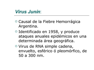 Virus Junín : Causal de la Fiebre Hemorrágica Argentina. Identificado en 1958, y produce ataques anuales epidémicos en una determinada área geográfica. Virus de RNA simple cadena, envuelto, esférico ó pleomórfico, de 50 a 300 nm.  
